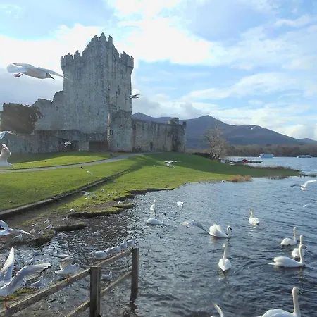 Kingdom View 3* Killarney